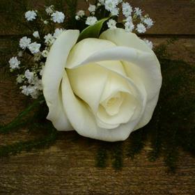 fwthumb20 ivory rose & gyp buttonhole 6.45.jpg